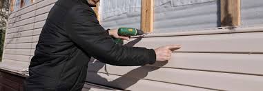 Best Siding Painting and Refinishing  in Roosevelt, UT